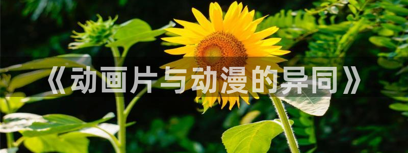 动漫屋免费版：《动画片与动漫的异同》