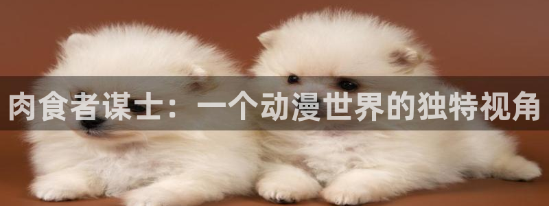 51动漫屋：肉食者谋士：一个动漫世界的独特视角