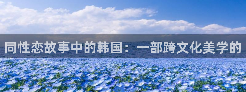 动漫屋目官方网：同性恋故事中的韩国：一部跨文化美学的