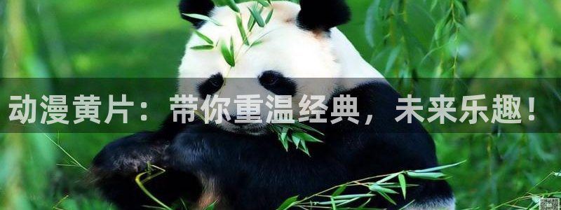 动漫屋app正版下载：动漫黄片：带你重温经典，未来乐趣！