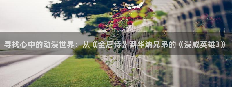 动漫屋 下载：寻找心中的动漫世界：从《全唐诗》到华纳兄弟的《漫威英雄3》